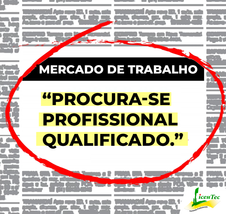 Leia mais sobre o artigo Procura-se Profissional Qualificado